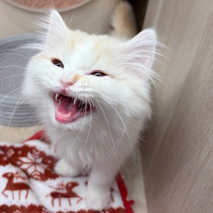 おしゃべり上手なみぬくん🤭💗