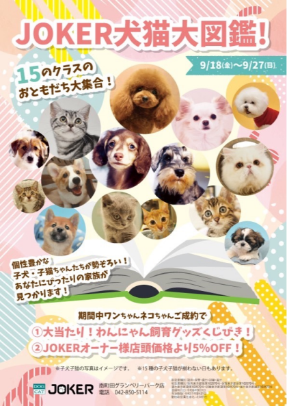 15種大集合❗️開催中‼️