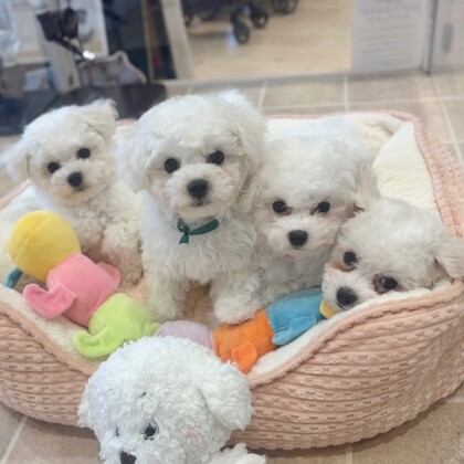 ☁️‼️ビジョン祭り開催中‼️☁️