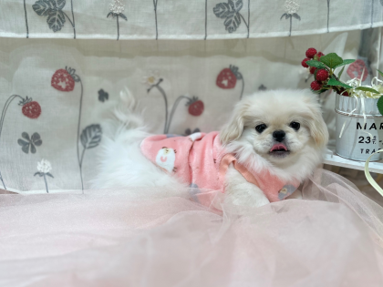 💗他店舗からお引越ししてくれました💗