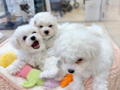 ☁️‼️ビジョン祭り開催中‼️☁️