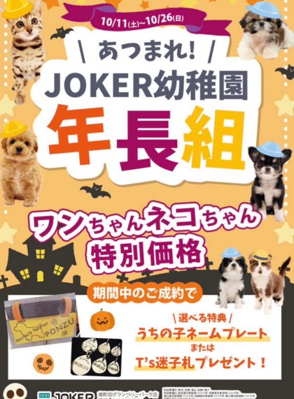【‼️期間限定‼️】ハロウィン限定イベント🎃