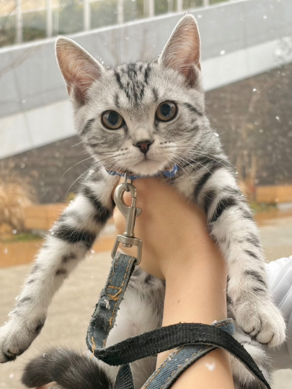 人生初の雪❄️を体験しました‼️