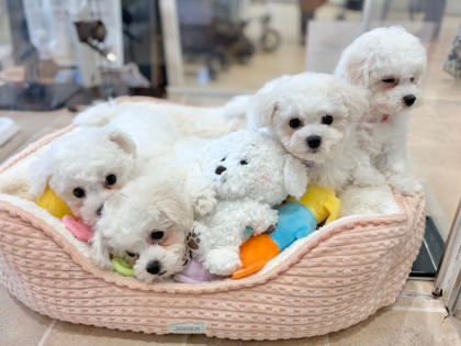 ☁️‼️ビジョン祭り開催中‼️☁️