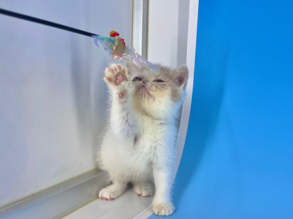 🐣新入生のご紹介💕