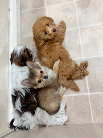 とっても仲良し🐣ジョーカー幼稚園🌱✨