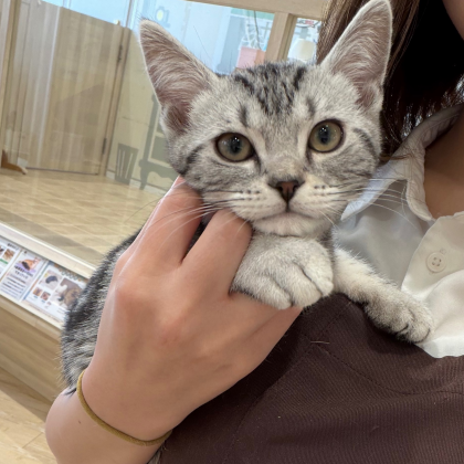 抱っこ大好き‼️甘えん坊アメくん💓