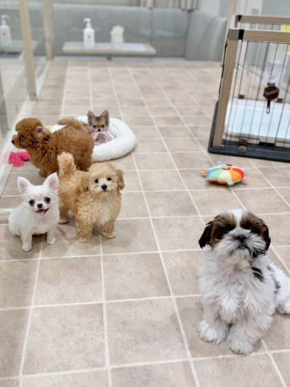 とっても仲良し🐣ジョーカー幼稚園🌱✨