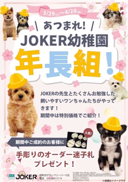 集まれ‼️ジョーカー幼稚園🐣年長組🩵