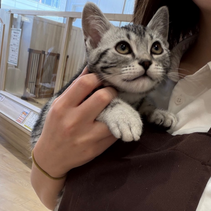 抱っこ大好き‼️甘えん坊アメくん💓