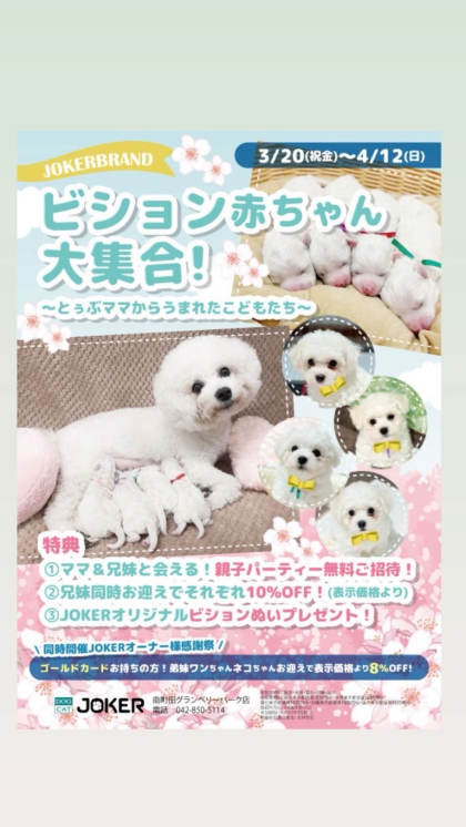 ☁️‼️ビジョン祭り開催中‼️☁️