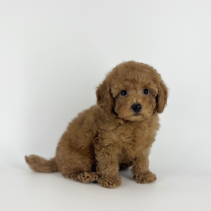 とんでもなく甘えん坊な男の子が入園しました‼️