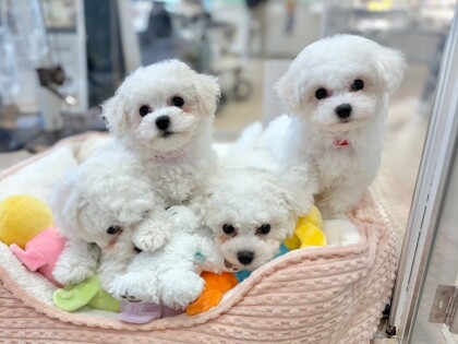 ☁️‼️ビジョン祭り開催中‼️☁️