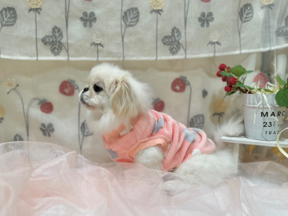 💗他店舗からお引越ししてくれました💗