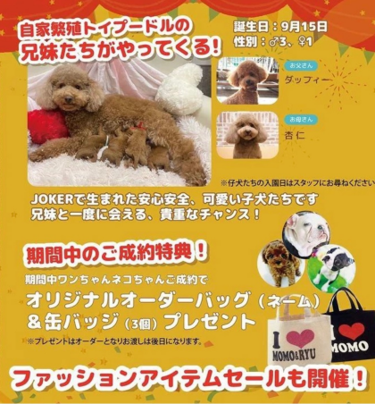 🔥🔥ジョーカー南町田店5周年イベント🔥🔥