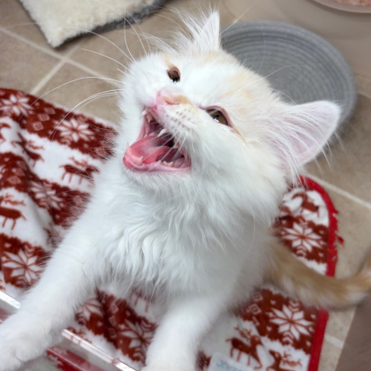 おしゃべり上手なみぬくん🤭💗