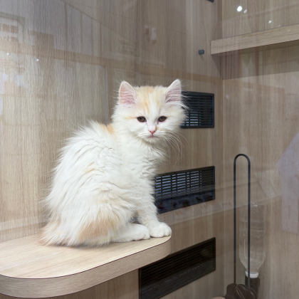 おしゃべり上手なみぬくん🤭💗