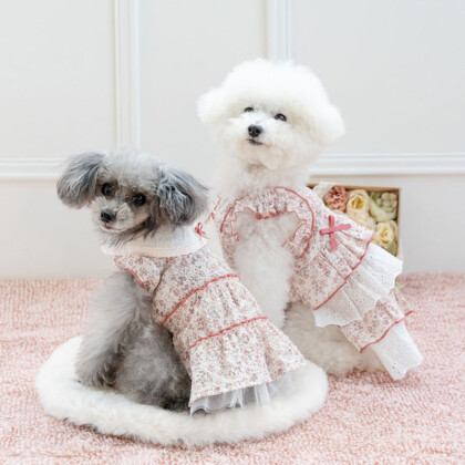 ★パワーアップセール開催★