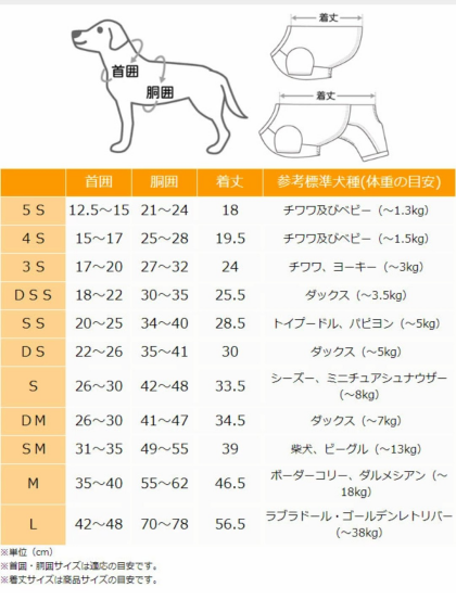 【新作紹介】ふんわり♪バルーンワンピース