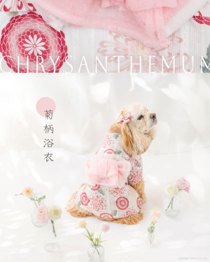 🎐浴衣コレクション🍧