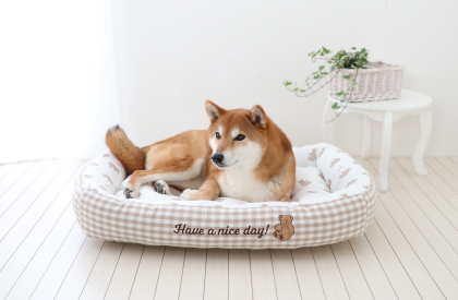 大人気！COOLカドラー💖
