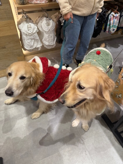 🎅もうすぐXmas🎄