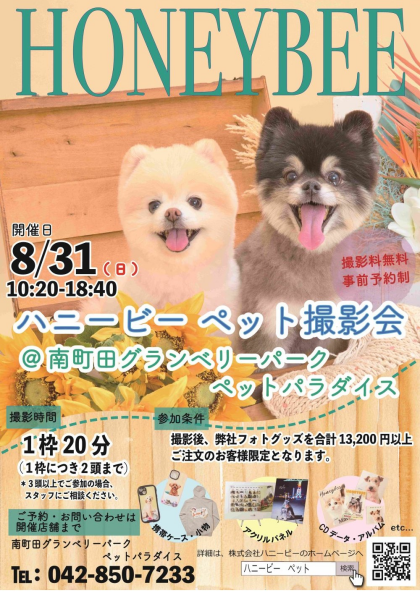 ペット撮影会のお知らせ