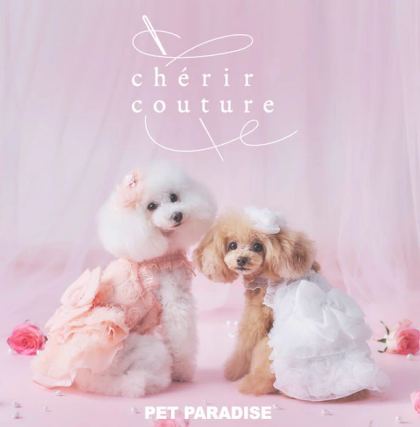 ★アウトレットセールスタート★