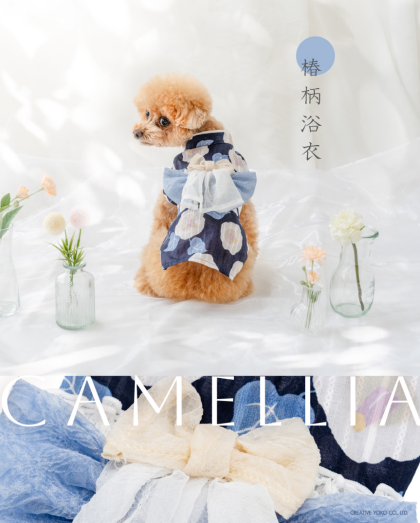 🎐浴衣コレクション🍧