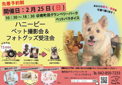 ペット撮影会のお知らせ