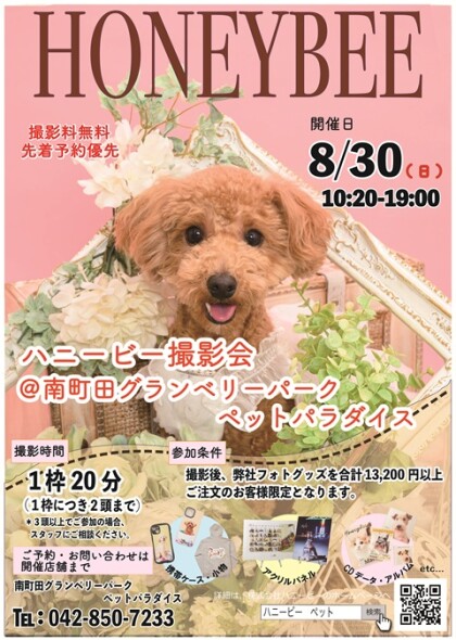 📷8/30(日)開催📷ペット撮影会のお知らせ