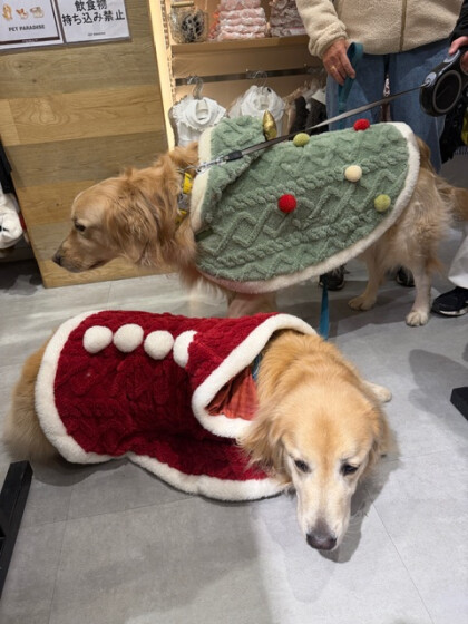 🎅もうすぐXmas🎄