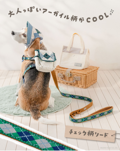 🎈パワーアップSALE開催🎈