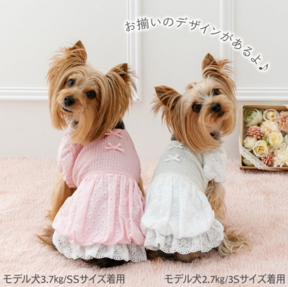 【新作紹介】ふんわり♪バルーンワンピース