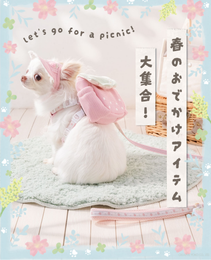 🎈パワーアップSALE開催🎈