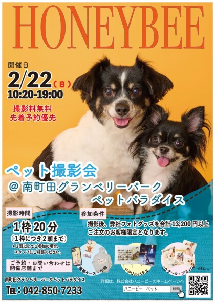 ワンちゃんねこちゃん写真撮影会 2026年2月22日