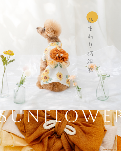🎐浴衣コレクション🍧