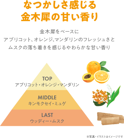 TBC　クリーミーボディウォッシュ　キンモクセイ