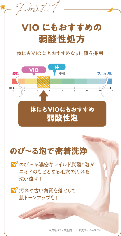 TBC　クリーミーボディウォッシュ　キンモクセイ