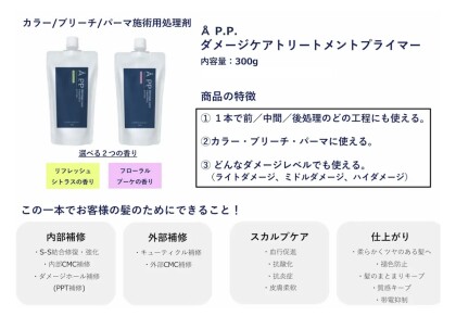 A.P.P.　ダメージケアトリートメント