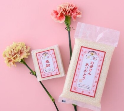 母の日フェア開催中