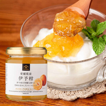 【季節限定】こだわりの柑橘系商品をご紹介🍋