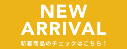 レデイース　スニーカー新作入荷！