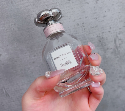アウトレット価格👑💗＼ＣＯＡＣＨ🎀ドリームス／