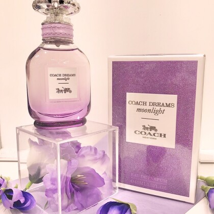 🎵～アウトレット価格✋😆ＣＯＡＣＨ ＤＲＥＡＭＳ ｍｏｏｎｌｉｇｈｔ🌙入荷しました⭐