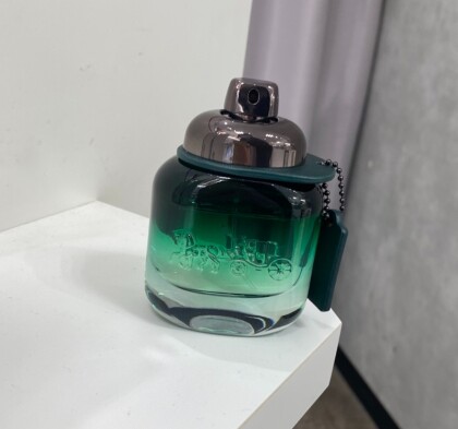 ＼お買い得価格👑コーチマングリーン／