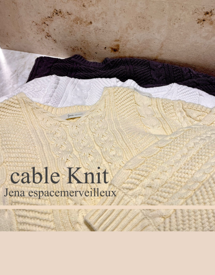 【Jena】NEW！ケーブルVネックニット