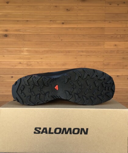 DAITREE MID GTX の紹介です。入荷しました！