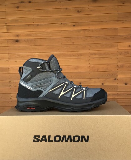 DAITREE MID GTX の紹介です。入荷しました！