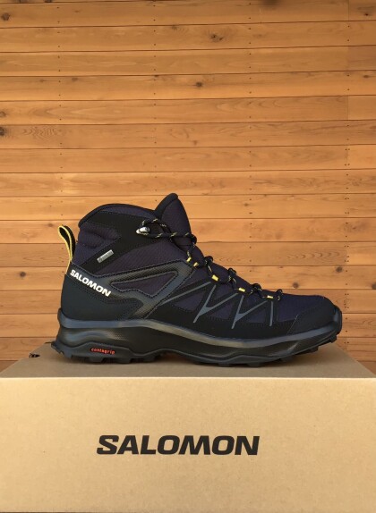 DAITREE MID GTX の紹介です。入荷しました！